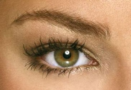 a1sx2_Thumbnail1_eyes5.jpg a1sx2_Thumbnail1_eyes5.jpg